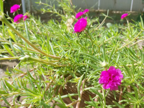 图片12.png 图片12.png